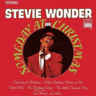 WONDER STEVIE - SOMEDAY AT CHRISTMAS