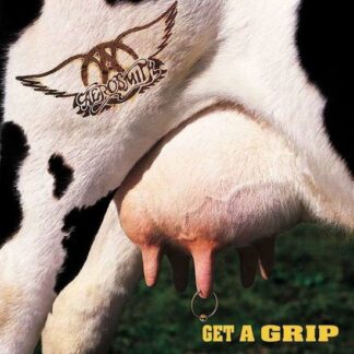 Aerosmith - Get a Grip 2LP