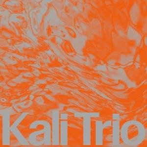 Kali Trio - The Playful Abstract 1LP