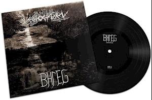 Bhleg & Nechochwen - Sorlande Sky / Majestic Translucence 1LP