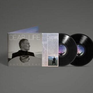David Gray - Dear Life 2LP