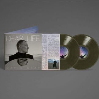 David Gray - Dear Life 2LP
