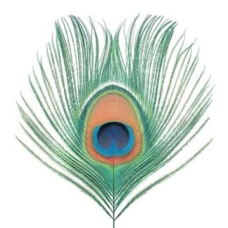 XTC - Apple Venus Vol 1 (1LP/200g)