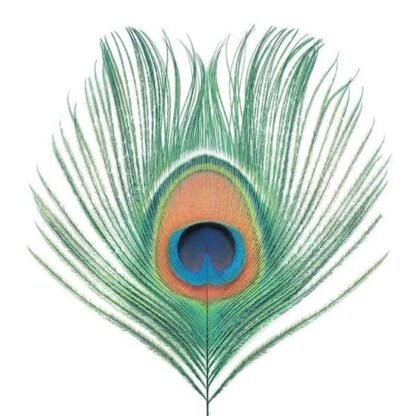 XTC - Apple Venus Vol 1 (1LP/200g)
