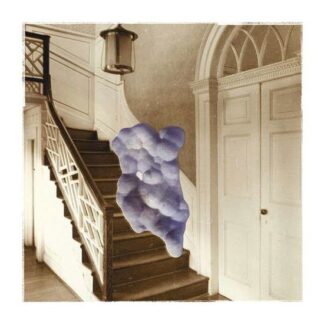 Sweet John Bloom - Weird Prayer 1LP