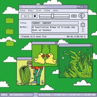 Koji / Potty Mouth / Nervus / Full on Monet / Solstice Rey - Sunday. Someday 1LP