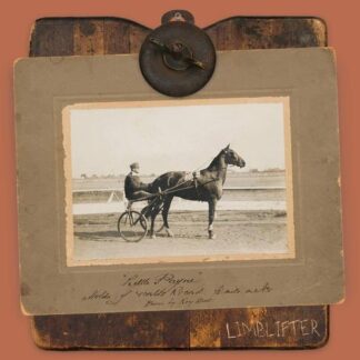 Limblifter - Little Payne 1LP