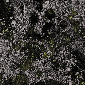 King Gizzard & the Lizard Wizard - Infest The Rats Nest (Live At Red Rocks 2022) (Glow In The Dark Green Vinyl) 1LP