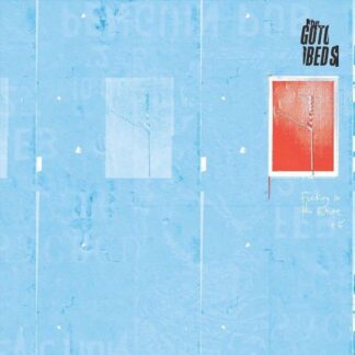 Gotobeds - Fucking In The Future + 5 (Coloured Vinyl) 1LP