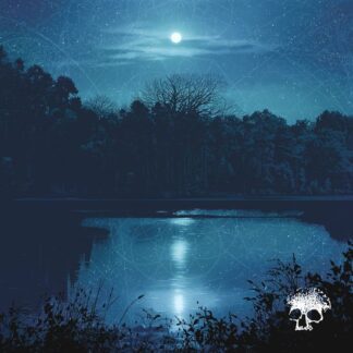 Planes Mistaken for Stars - Do You Still Love Me? 1LP