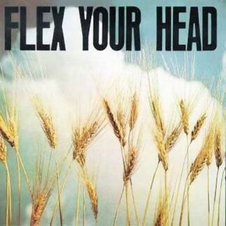 Compilation - Flex Your Head (white) 1LP