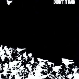 Songs: Ohia - Didn't It Rain 1LP