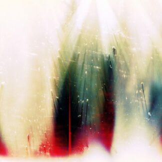 The War on Drugs - Future Weather 1LP