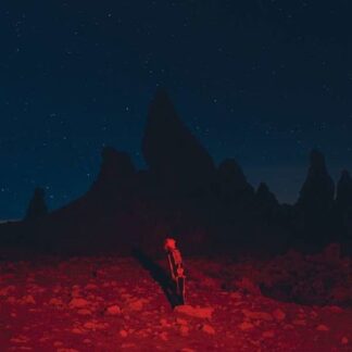 Phoebe Bridgers - Punisher 1LP