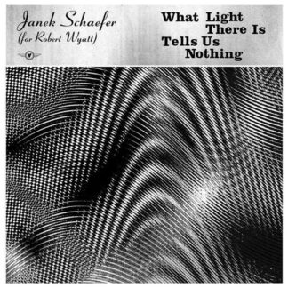 Janek Schaefer - What Light There Is Tells Us Nothing 1LP