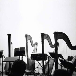 Behavior - Spirits & Embellishments 1LP