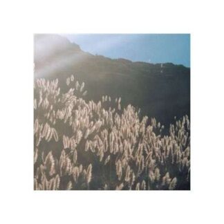 Blithe Sons - Great Orthochromatic Wheel 1LP