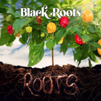 Black Roots - Roots (Rsd 2025) 1LP