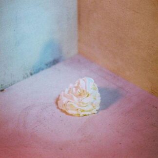 All Boy / All Girl - Slagroom 1LP