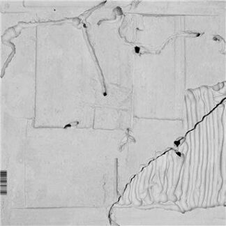 Belia Winnewisser - Radikale 1LP