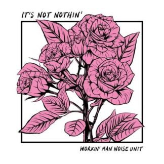WORKING MAN NOISE UNIT - ITS NOT NOTHIN