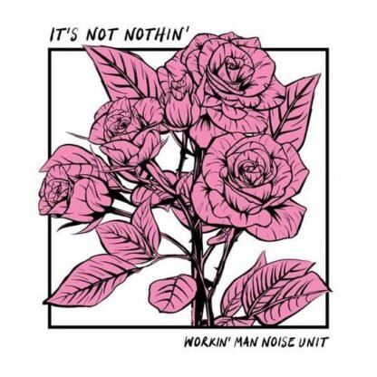 WORKING MAN NOISE UNIT - ITS NOT NOTHIN
