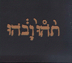 Godspeed You! Black Emperor - Slow Riot for New Zero Kanada 1LP