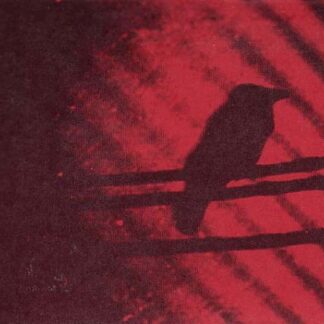 A Silver Mt Zion - Born Into Trouble 2LP