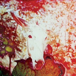 Jerusalem In My Heart - If He Dies If If If If If If 1LP