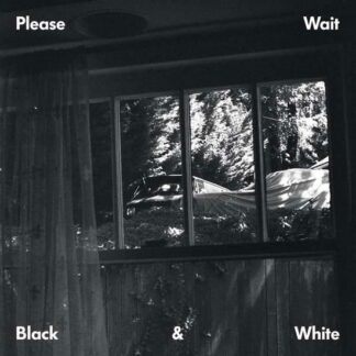 Please Wait (Ta-ku & Matt Mcwaters) - Black & White EP 1LP