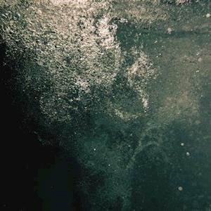 WYE OAK - CIVILIAN + CUT ALL THE WIRES: 2009 ‚òê 2011