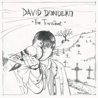 David Dondero - The Transient 1LP