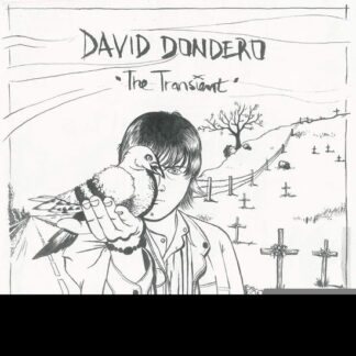 David Dondero - The Transient 1LP