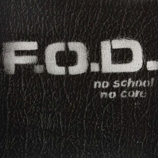 Flag of Democracy - No School, No Core 1LP