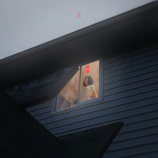 Kills Birds - Crave 1LP