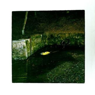 Franck Vigroux - Totem 1LP