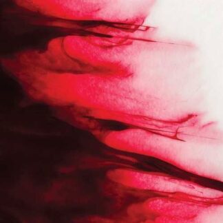 Alex Rigaud - Transformation 1LP