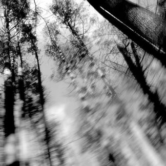 Loess - Totems 1LP