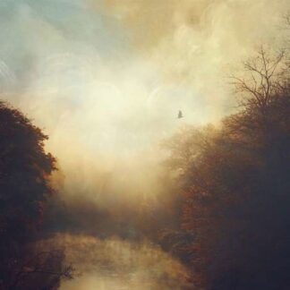 Stray Theories - This Light 1LP