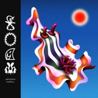Divino Niño - Foam 1LP
