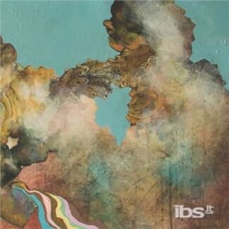 The Superweaks - Bad Year 1LP