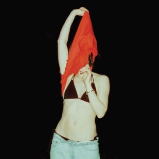 Anna Shoemaker - Someone Should Stop Her 1LP