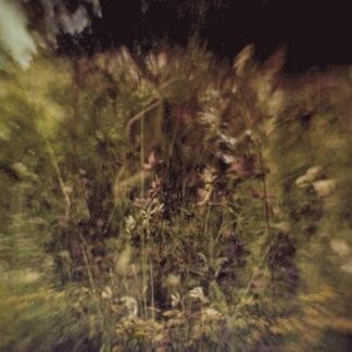 Pluralone - Across the Park B/w Sevens 1LP