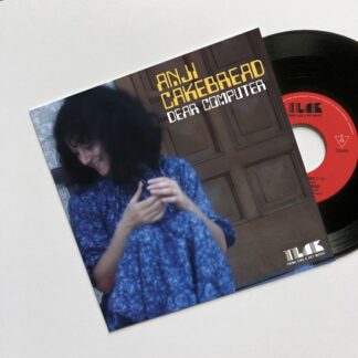 Anji Cakebread - Dear Computer 1LP