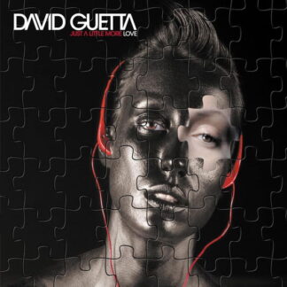 David Guetta - Just A Little More Love 2LP
