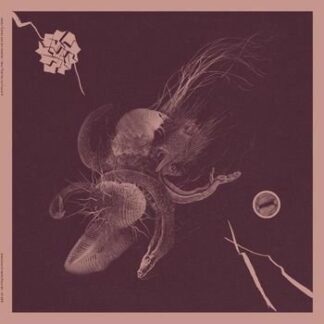 Aaron Turner & Jon Mueller - Now That Youve Found It 1LP