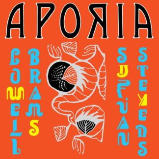Sufjan Stevens & Lowell Brams - Aporia 1LP