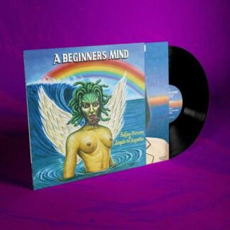 Sufjan Stevens & Angelo De Augustine - A Beginner's Mind 1LP