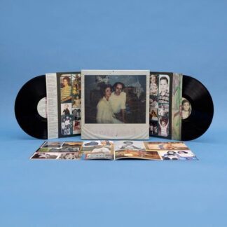 Sufjan Stevens - Carrie & Lowell 2LP