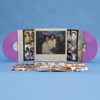 Sufjan Stevens - Carrie & Lowell 2LP